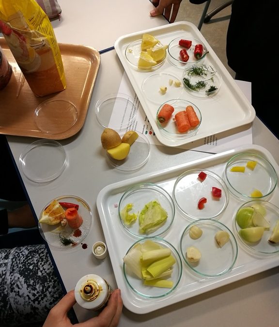 Valoa, väriä ja ääntä seiskojen monialaisessa oppimiskokonaisuudessa
